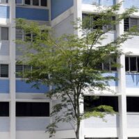 Fotó: Chen Te, Forrás: Pexels