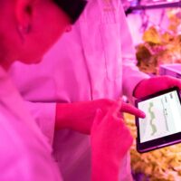 Fotó: ThisIsEngineering, Forrás: Pexels