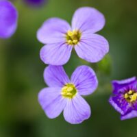 Illusztráció: Lukas