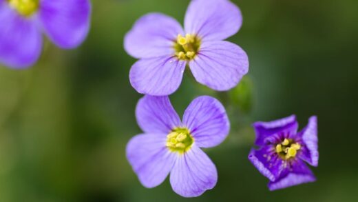 Illusztráció: Lukas